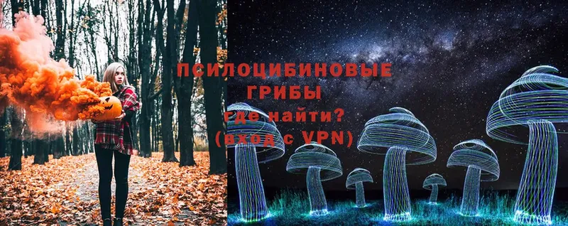 Псилоцибиновые грибы Magic Shrooms  Дубна 